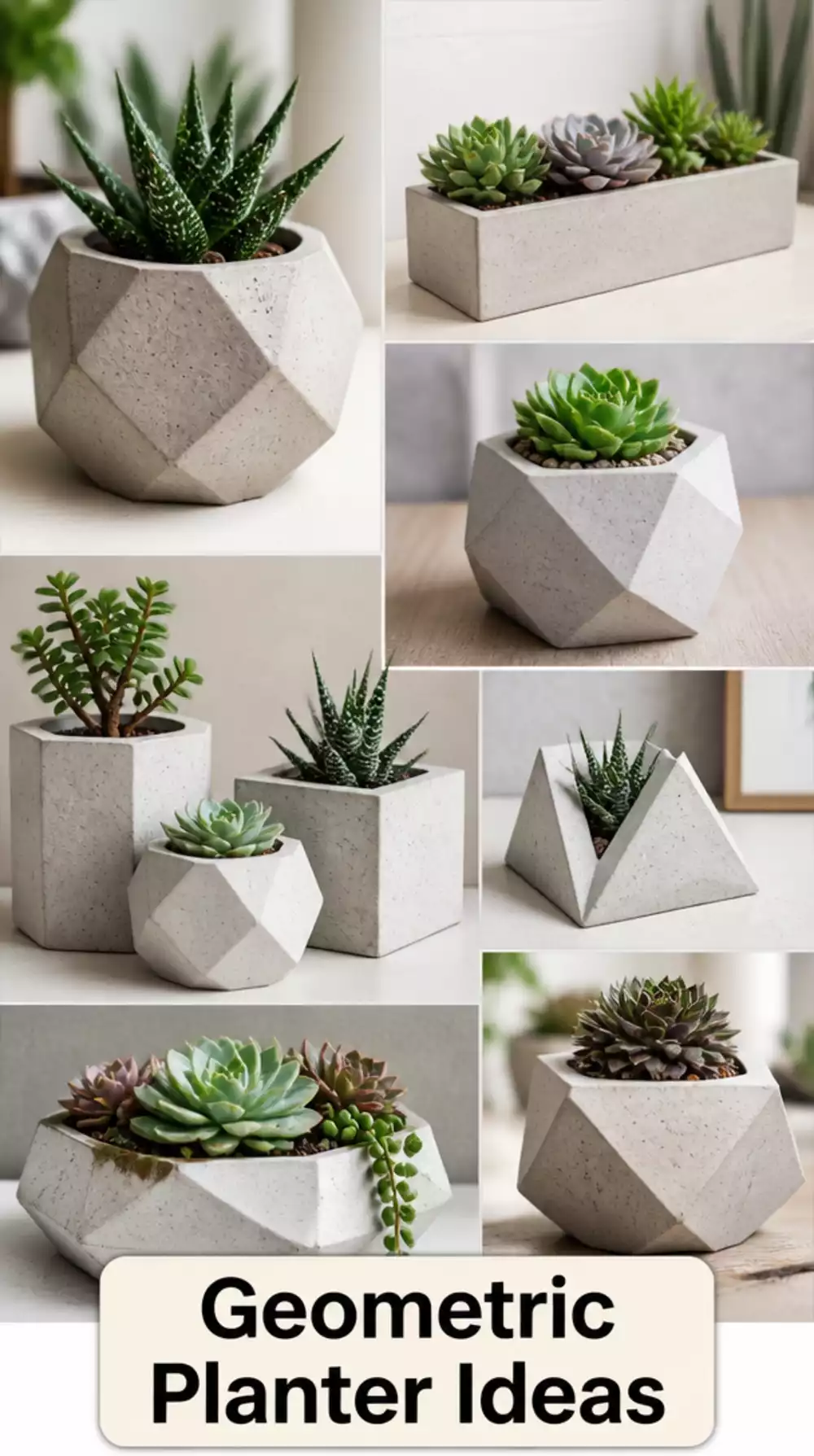 Geometric Succulent Planter in Concrete That Suits a Minimal Modern Interior