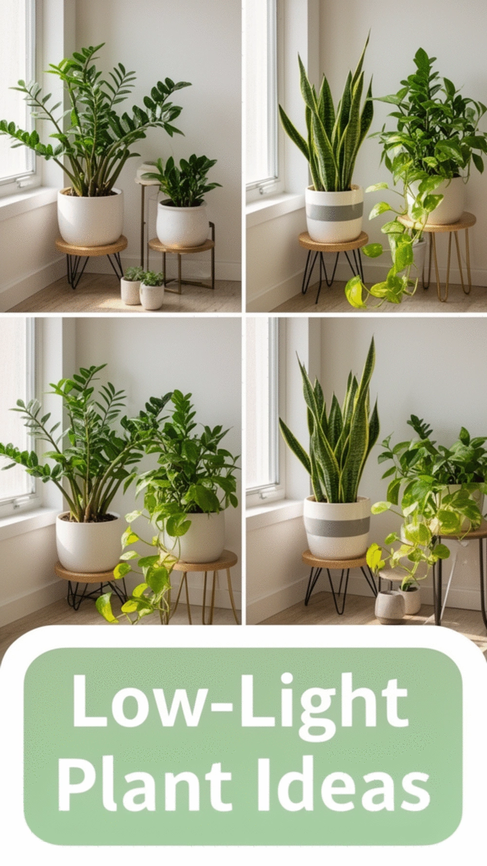 The Low-Light Plant Trick That Makes a Dark Corner Look Like a Styled Nook