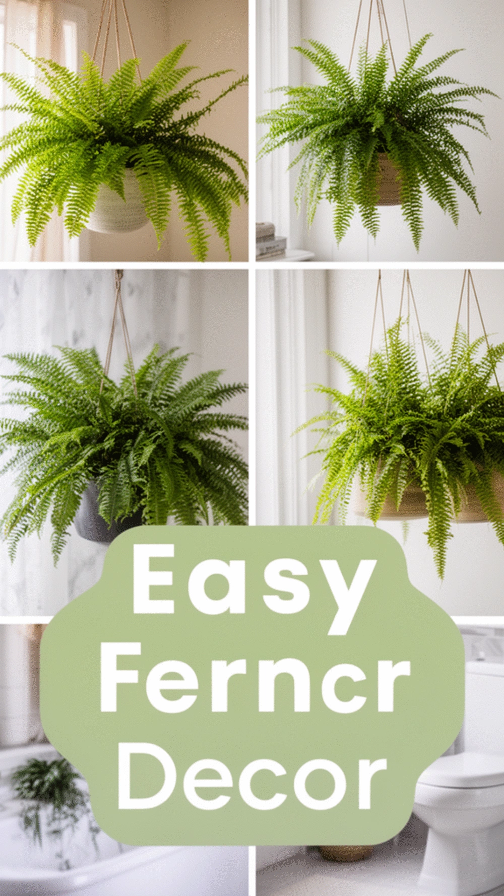Fern in a Hanging Planter That Stays Lush in a Low-Light Bathroom