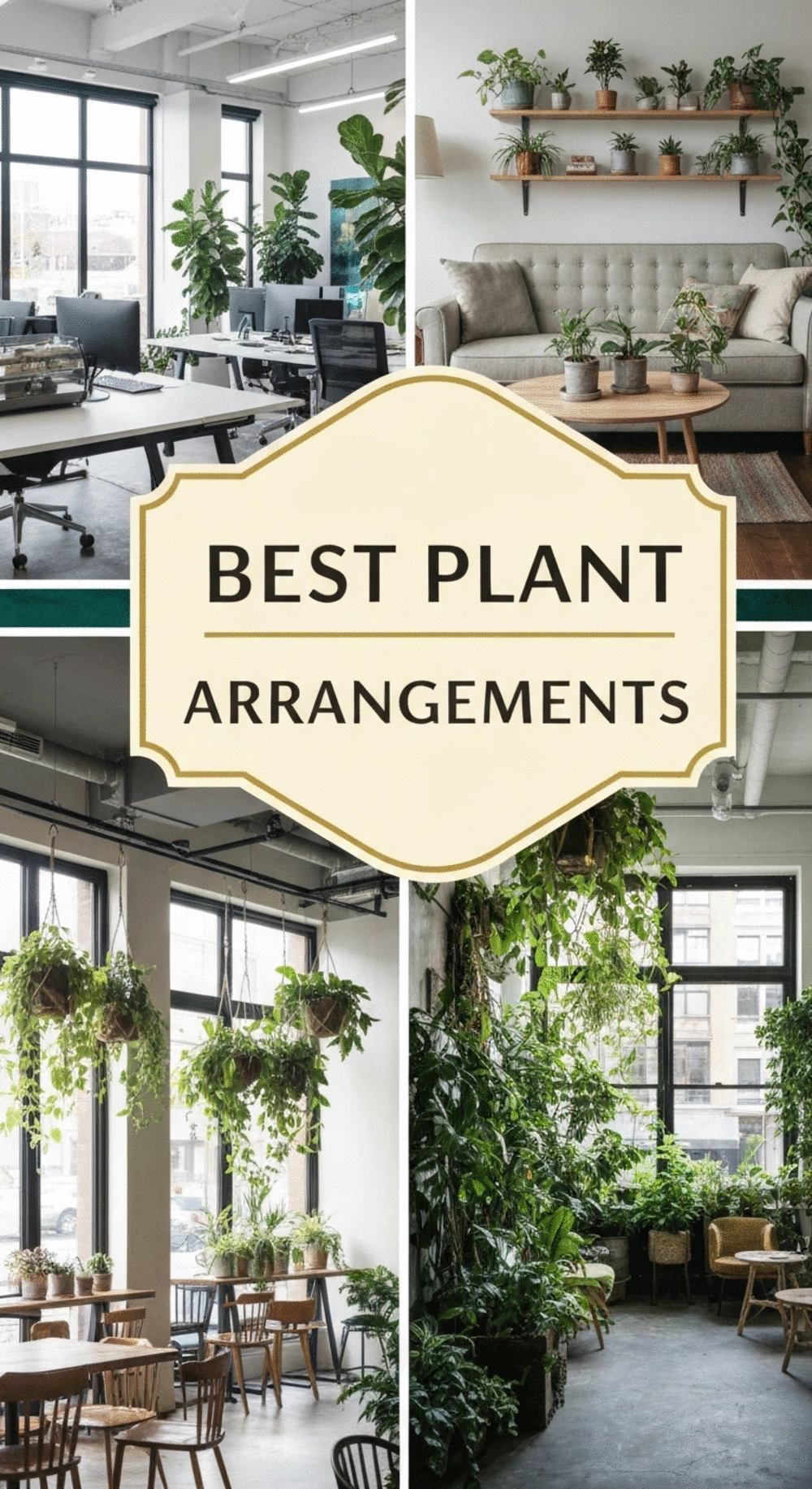 Commercial vs. Home Use: Best Plant Arrangements for Each Space