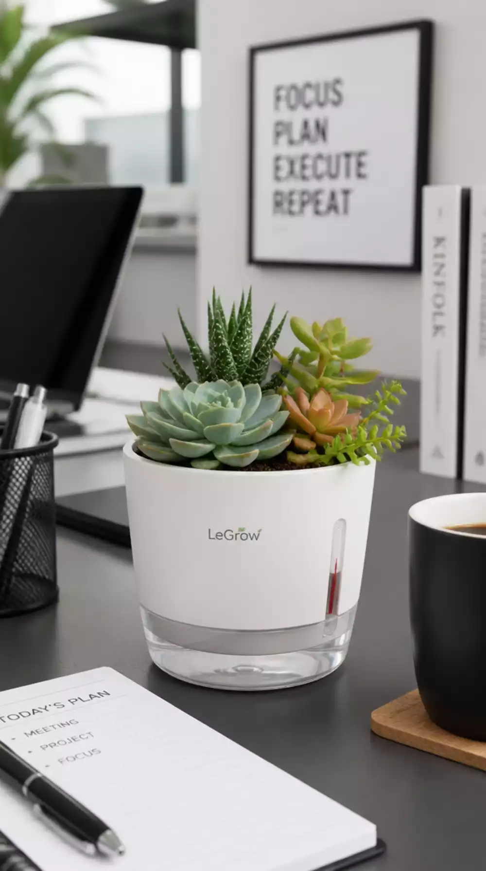 Office Desk Self-Watering Succulent Pot That Survives Holidays and Busy Weeks