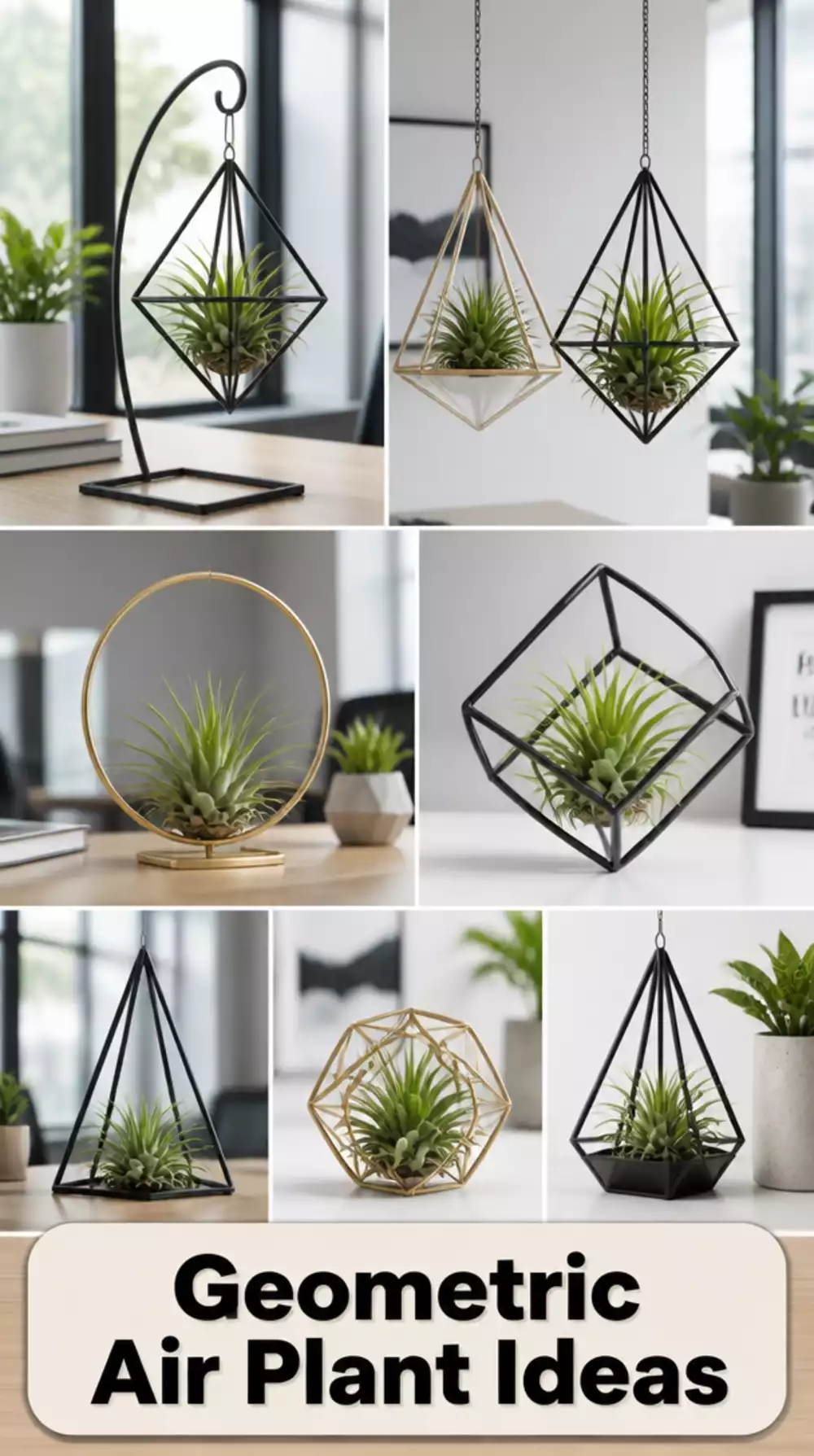 Geometric Metal Air Plant Holder on a Desk That Suits a Modern Minimal Office
