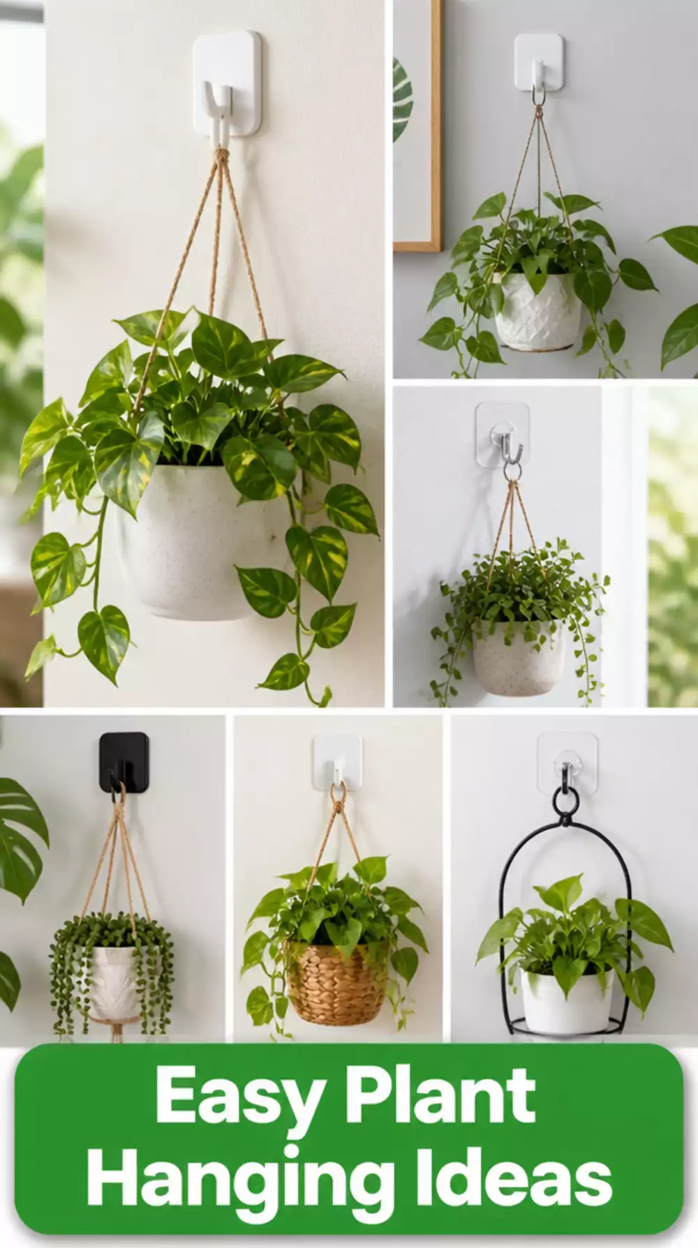 Renter-Friendly Adhesive Wall Hook for a Hanging Planter That Holds Without Nails