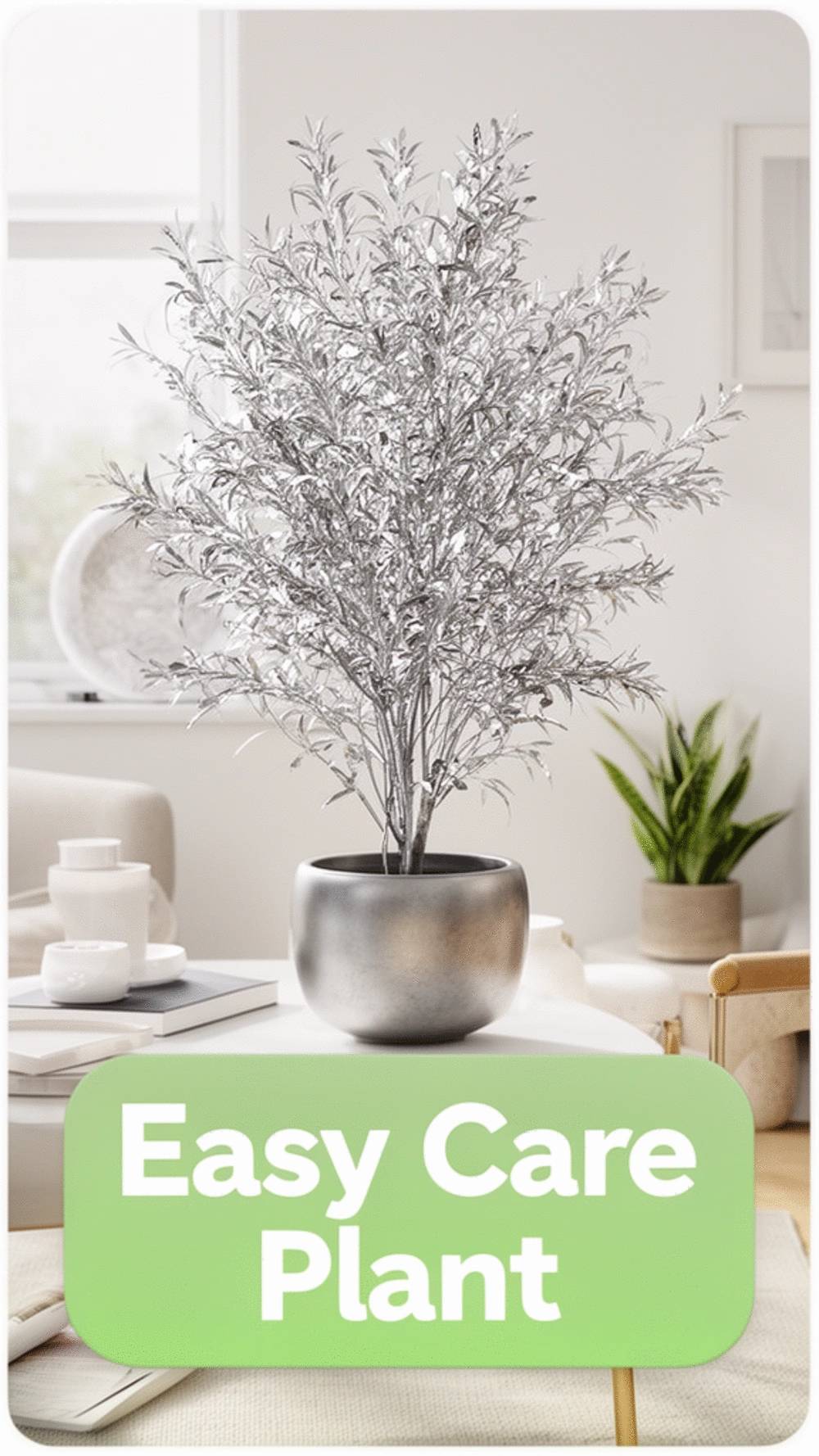 The One Beginner Indoor Plant That Forgives Even the Most Forgetful Owner