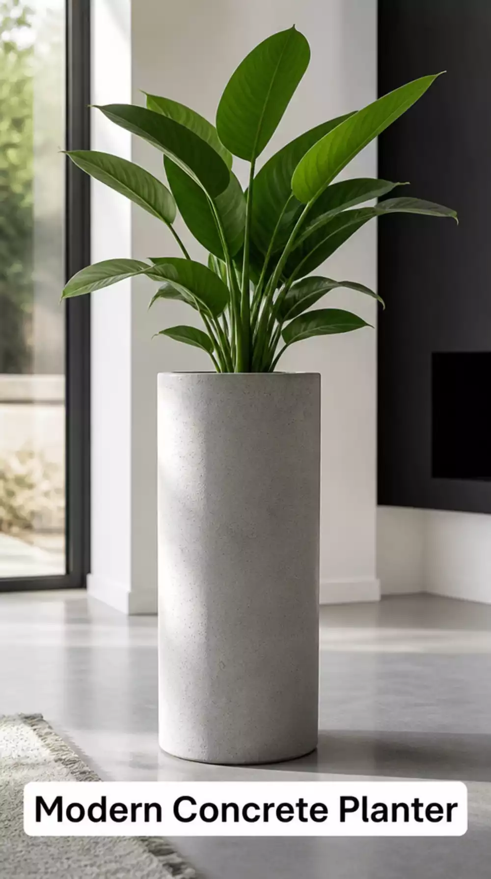 Concrete Effect Plant Pot in a Slim Cylinder That Suits a Modern Minimal Interior