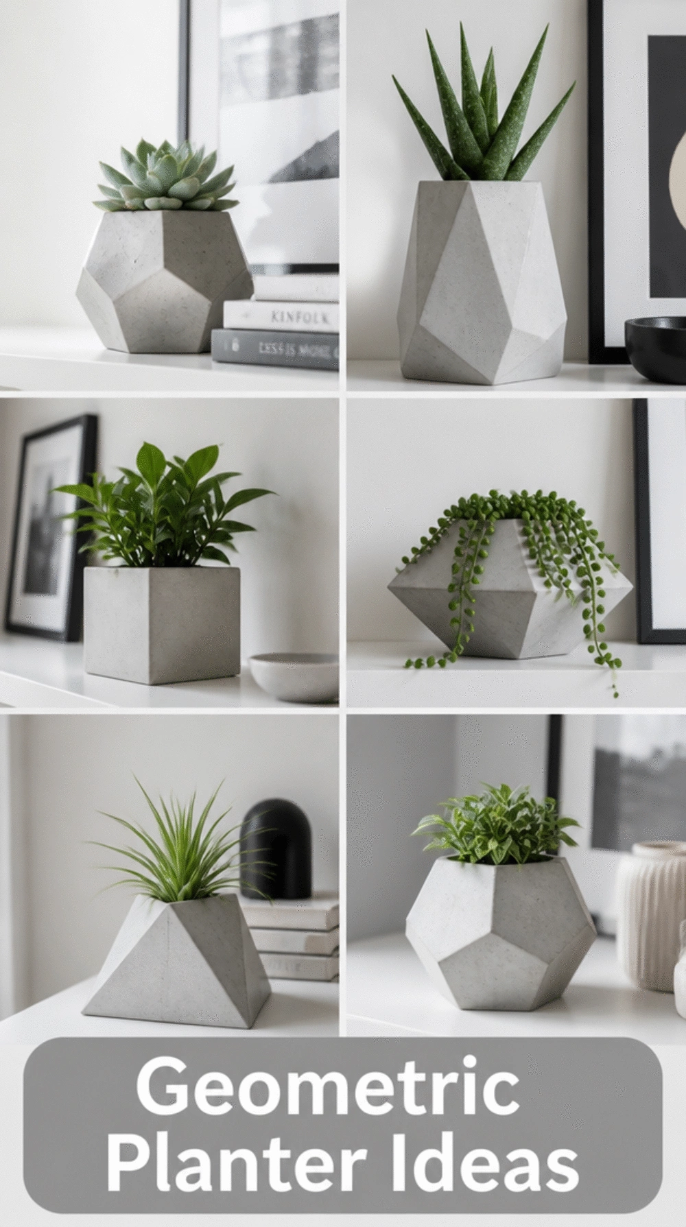 Geometric Concrete Planter on a Living Room Shelf for a Clean Modern Aesthetic