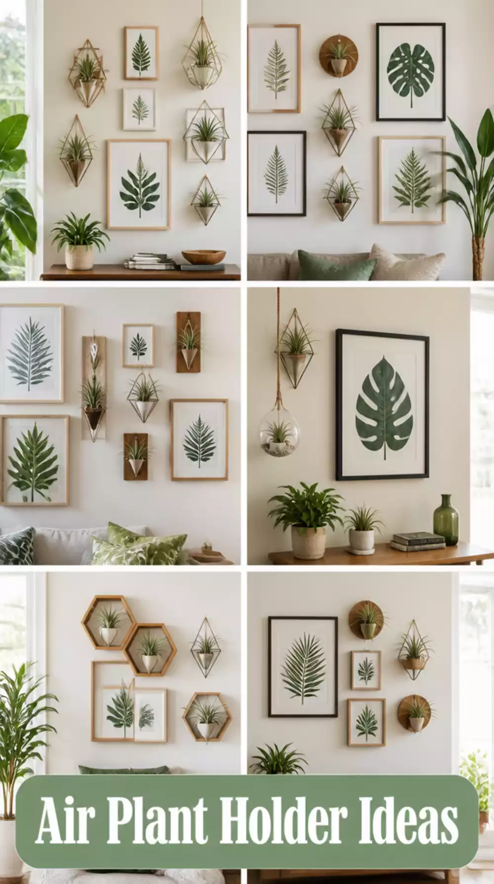 Living Room Gallery Wall Mixing Framed Leaf Prints with Mounted Air Plant Holders