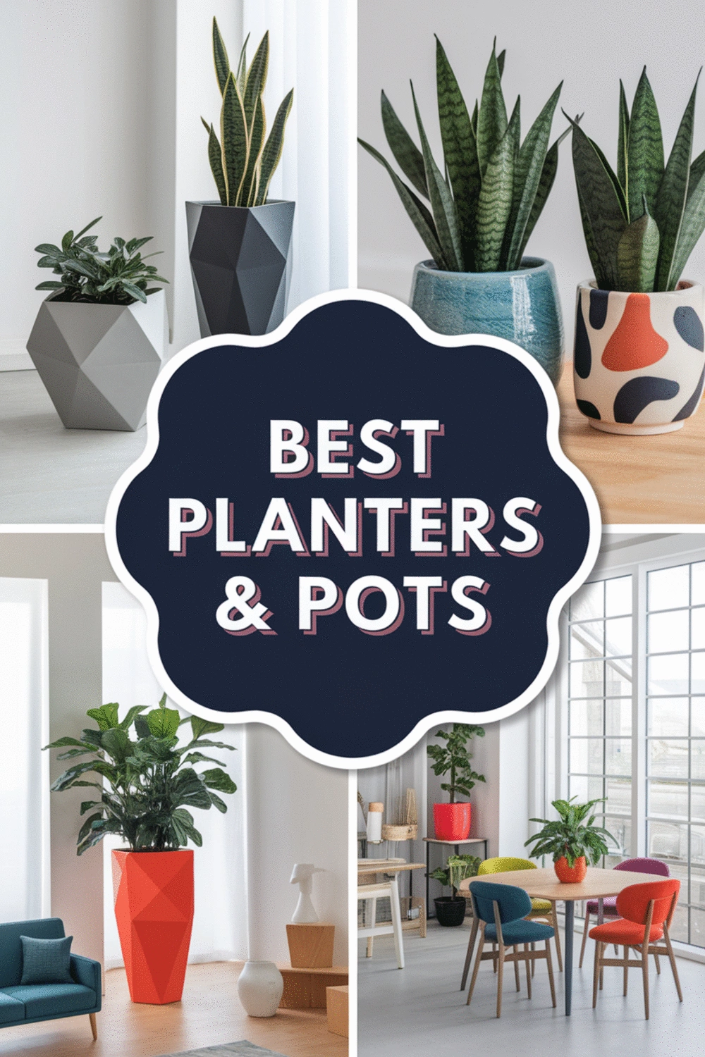 Best Planters and Pots for Modern Home Decor Trends