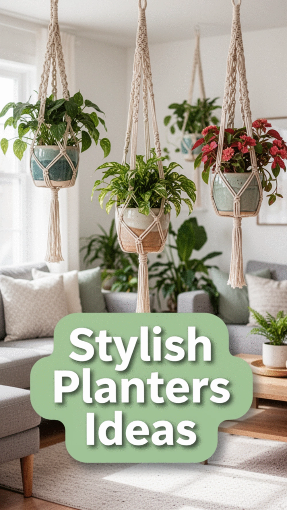 Stylish Planters for Indoor Decor: 3 Best Choices for Your Home