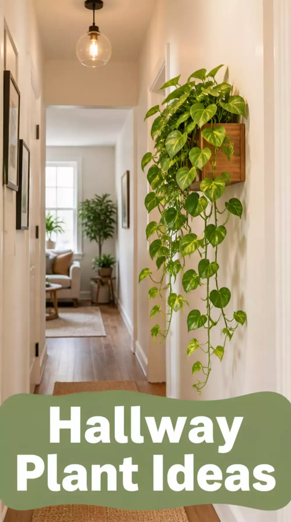 Wall-mounted planter with trailing pothos for narrow hallways