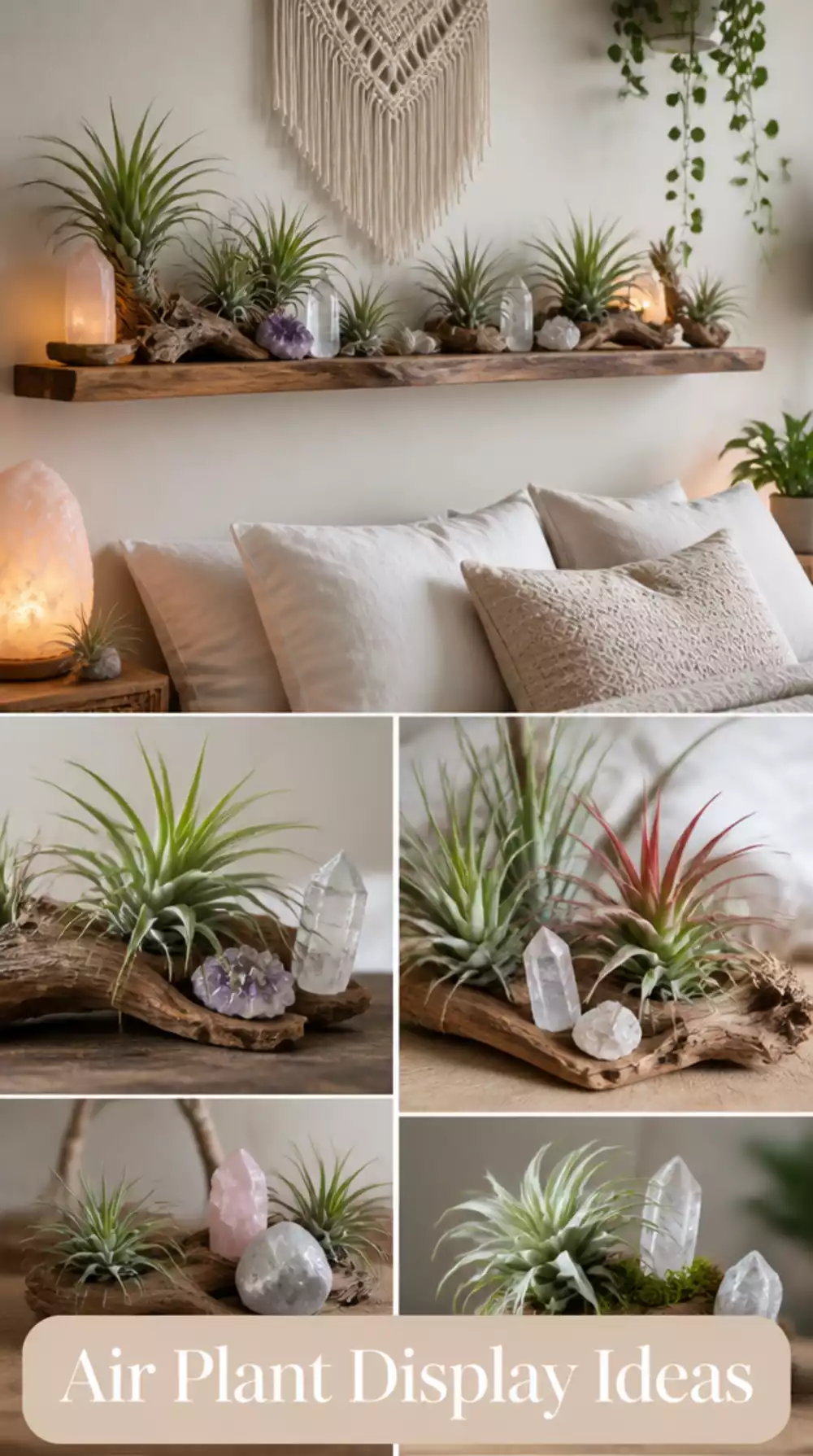 Bedroom Air Plant Display on a Floating Shelf Styled with Crystals and Driftwood