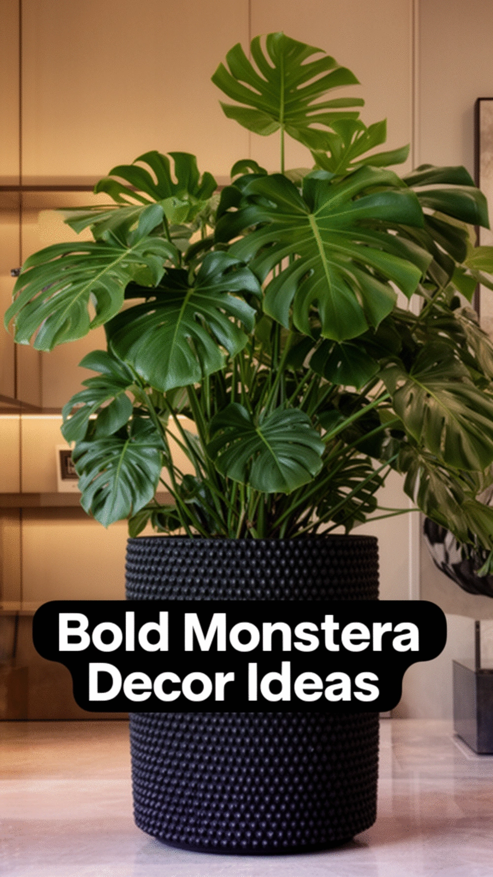 Large Statement Monstera in a Black Textured Planter for a Bold Indoor Look