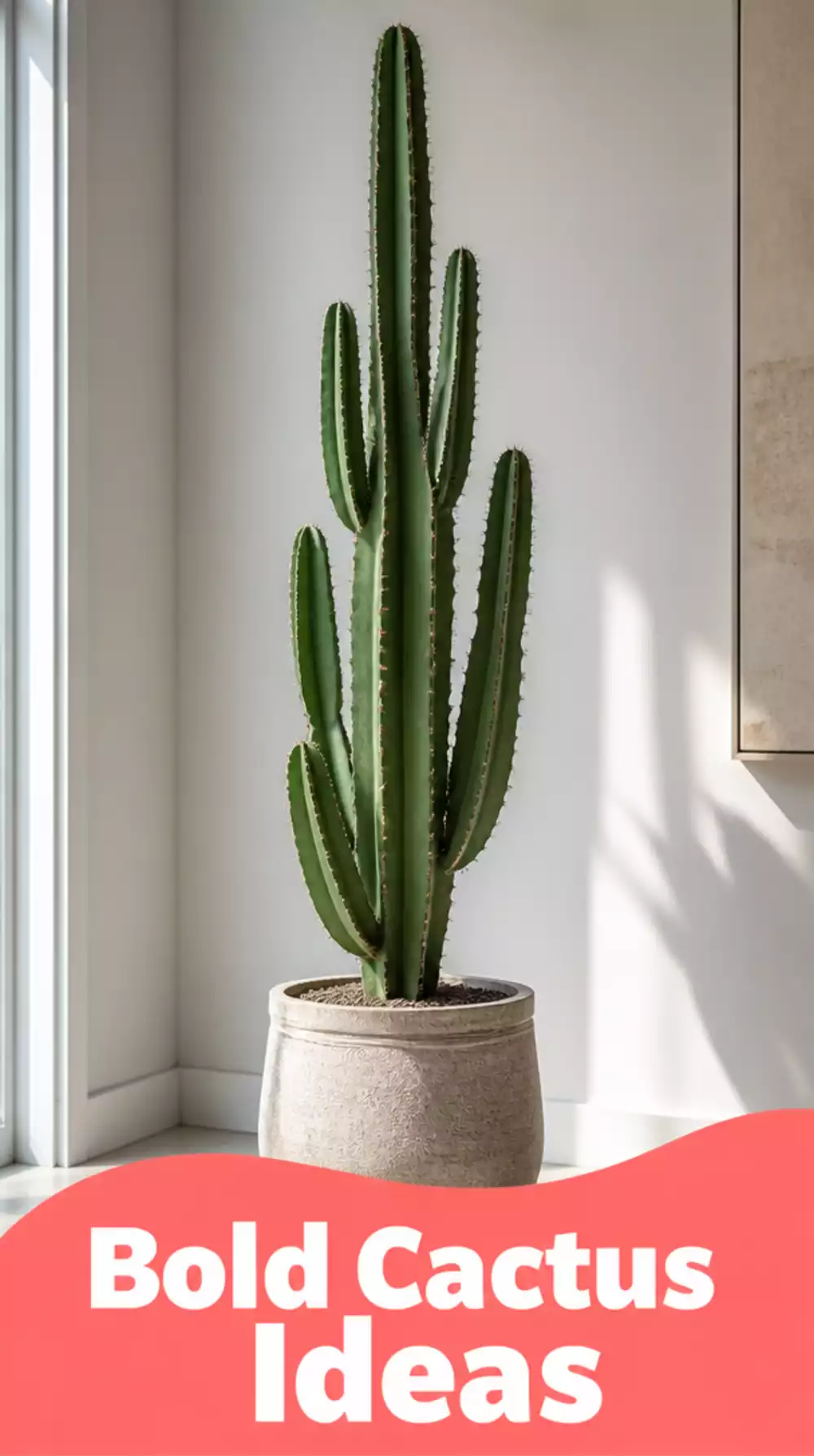 Why a Single Tall Cactus in the Right Pot Looks Better Than a Shelf Full of Small Plants