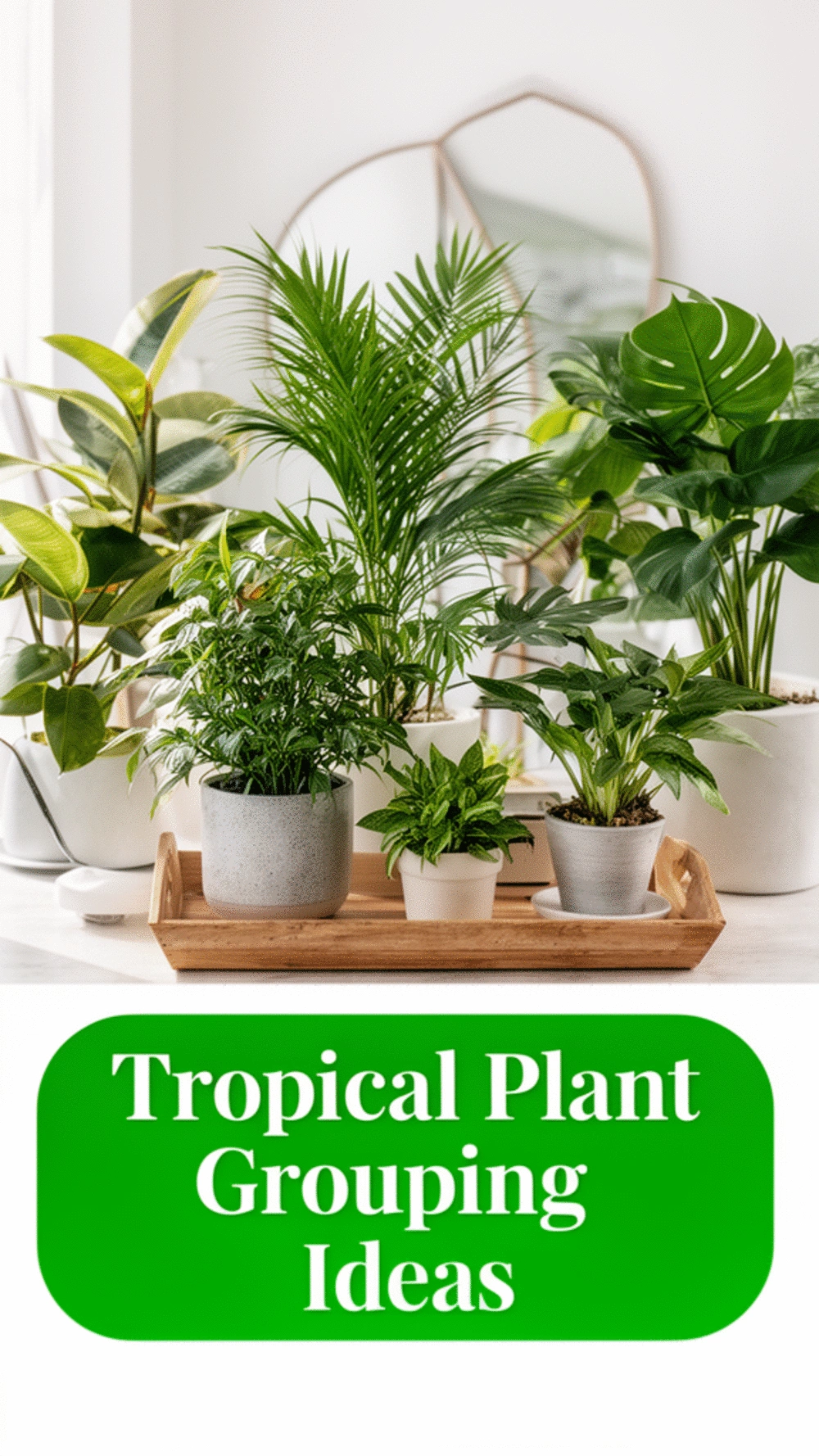 Large Tropical Plant Grouping on a Wooden Tray That Looks Professionally Styled