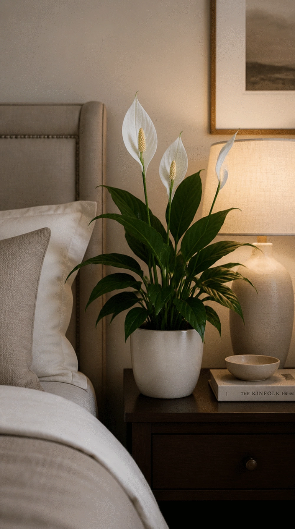 Peace Lily on a Bedside Table That Purifies Bedroom Air While You Sleep