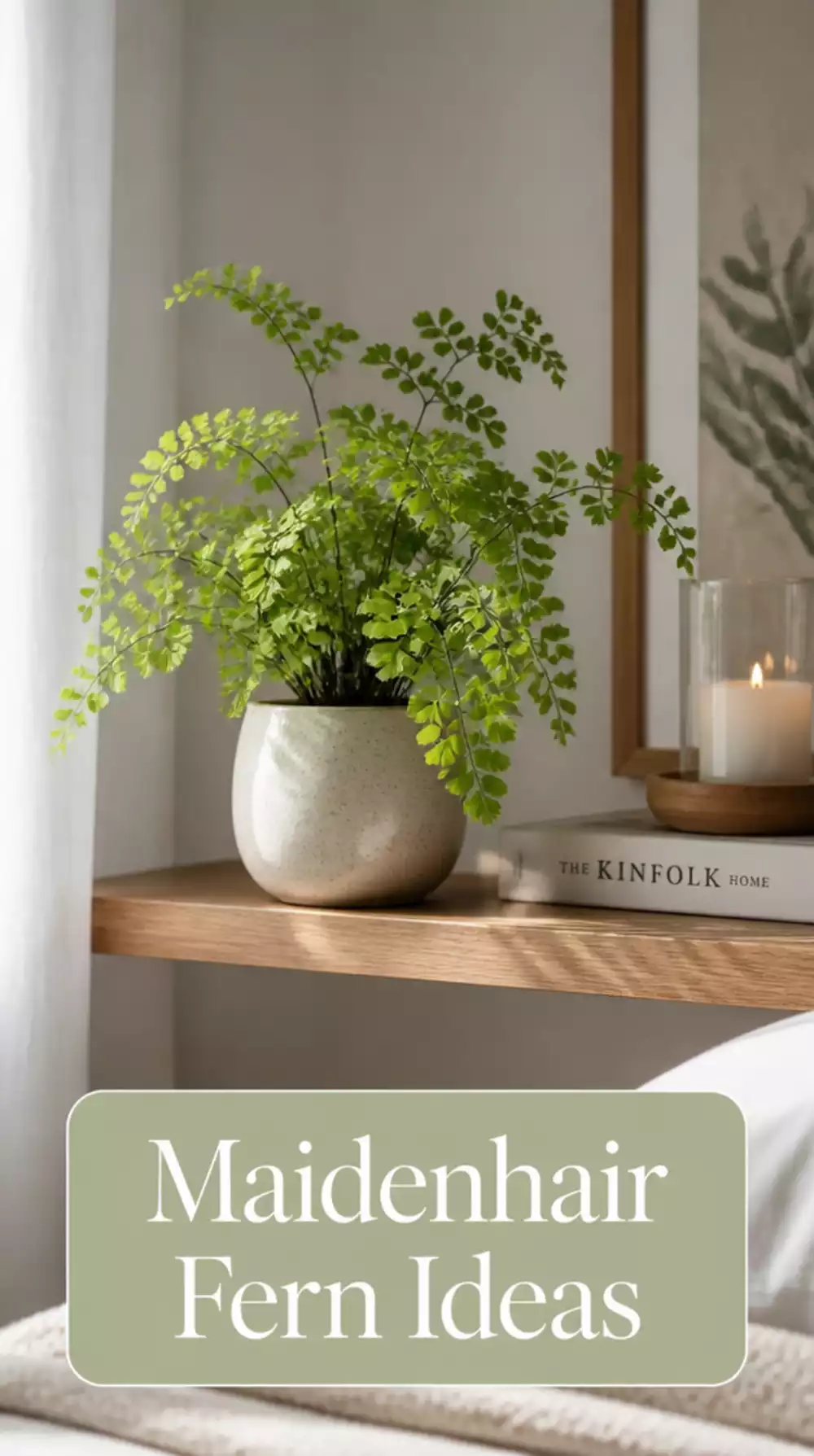 Maidenhair Fern in a Small Ceramic Pot on a Bedroom Shelf for Delicate Greenery